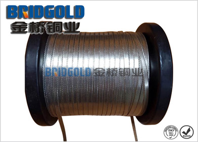 鍍錫銅編織線(xiàn)