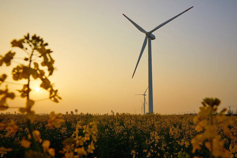 風力發(fā)電機 風力發(fā)電機