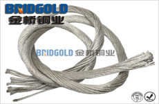 接地鍍錫銅絞線 接地鍍錫銅絞線